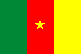 Flag of Cameroon